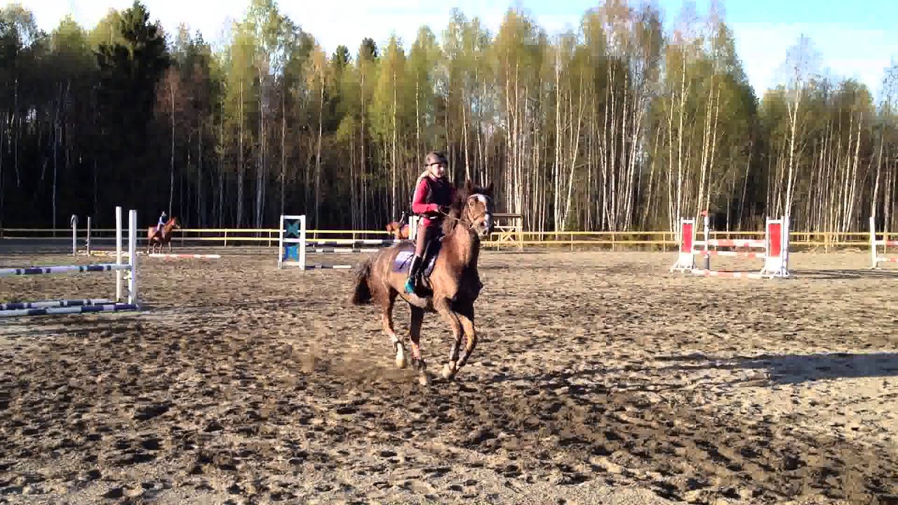 Woody og Iselin. sprangtrening 29 april. Danka trening_2
