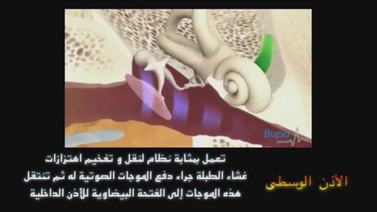 مستشفى العزيزية للولادة والاطفال بجدة Youtube
