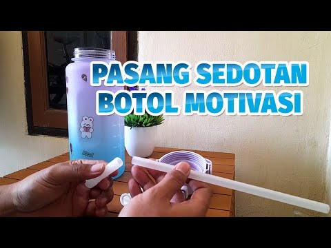 Video: Seni miniatur