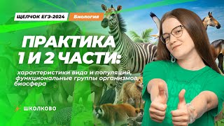 ЩЕЛЧОК | Практика 1 и 2 части: характеристики вида и популяций, функциональные группы организмов