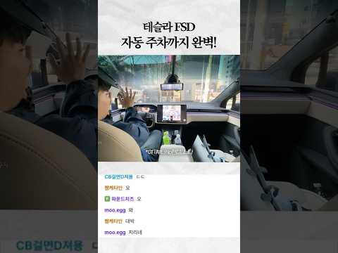 완벽한 테슬라 <strong>FSD</strong> 자동주차!