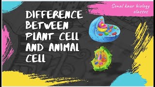 DIFFERENCE || PLANT CELL || ANIMAL CELL || CBSE || CLASS-9 || BIOLOGY || SCIENCE ||QUICK || EASY || Animal Cell And Plant Cell Easy Diagram Class9 Biology Cbseboard Cbse2023 Science