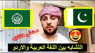 التشابه بين اللغة العربية ولغة الاردو الباكستانية 🇵🇰 Similarity between Arabic and Urdu