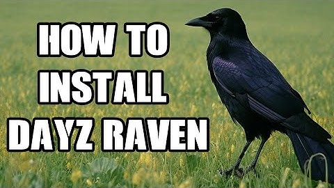 Showcase & How To Install HunterZ Amazing DayZ Raven Bird Mod On Local & Nitrado Community PC Server