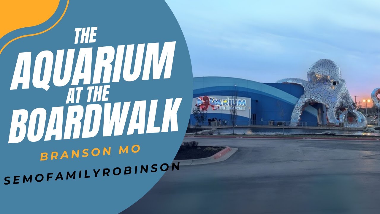 A day at the Aquarium at the Boardwalk in Branson MO