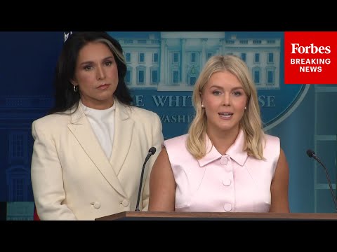 BREAKING NEWS Karoline Leavitt Tulsi Gabbard Hold White House Press Briefing After Obama Report