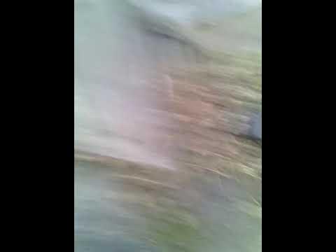кУКУ - YouTube
