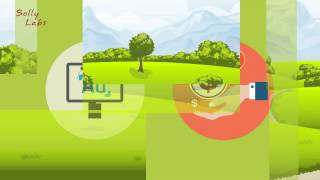 Cash Flow | Solly Labs