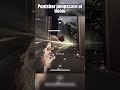 Punisher jumpscare.. m/mythicave.. #marvelrivals #rivals #marvel #memes #funny #fypシ #viral #gaming