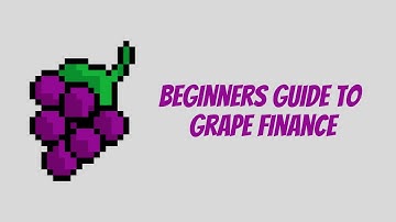 Beginners Guide to Grape Finance