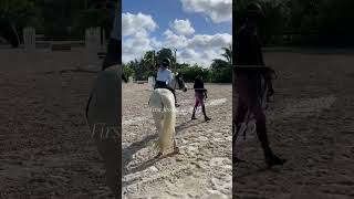 From Being Scared Of Horses, To Having One Of My Own.