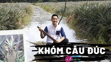 Vị ngọt khóm Cầu Đúc Hậu Giang | Ăn vặt miền Tây