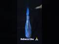 fire 🔥 on bottle 🍾 respect 😱🔥 simple science experiment 🧪 #shorts#science #fact #new#shortsfeed#like