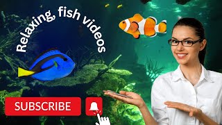 Relaxing, fish videos ￼