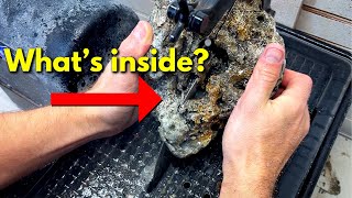 Exposing unseen details inside 30 million year old agatized coral fossils!