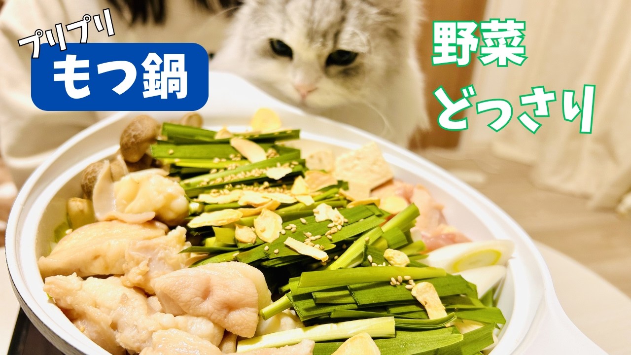 【プリプリもつ鍋】野菜どっさりモツたっぷり！体の芯まで温まる夜【料理ルーティン】