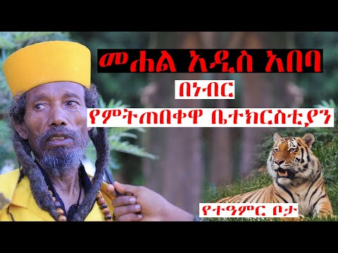 ቪዲዮ: አዲስ ሕይወት የት መጀመር?