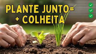 O Segredo Para Plantar Em Setembro E Colher Em Dobro Alface, Couve, Repolho... Horta Em Casa