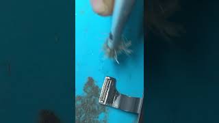 iPhone 15 pro water damage 😵