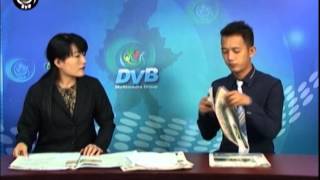 DVB - Newspaper B 20142510