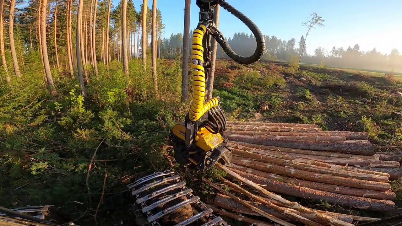 Mäntyjen tekoa avohakkuulla ja turinoita viikon tahpahtumista. Ponsse Scorpion King H7.