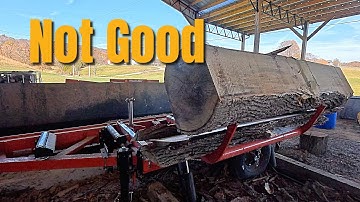 The Poplar Log That Fought Back!