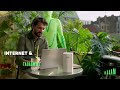 Smooz à la rescousse : Internet et la TV sans câble !📶