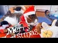 【 キスするサンタの猫ちゃん  】 クリスマス　サンタコスプレ 猫カフェ