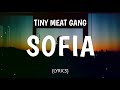 Tmg  sofia lyrics