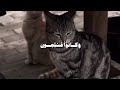 يا عبادى لا خوف عليكم اليوم ولا انتم تحزنون المنشاوى
