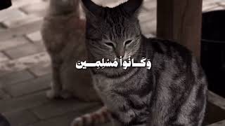 يا عبادى لا خوف عليكم اليوم ولا انتم تحزنون المنشاوى سمعها