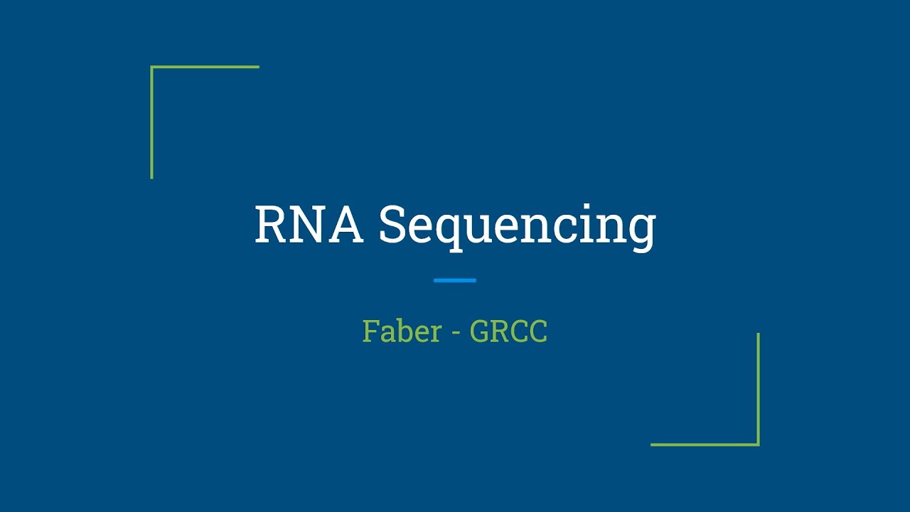 Sabbatical Research RNA Sequencing YouTube