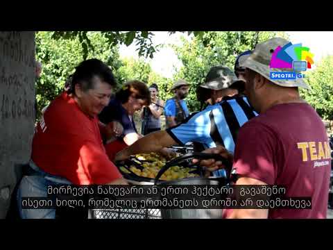 ნიკა გეთიაშვილი - ინოვატორი ფერმერი გურჯაანიდან