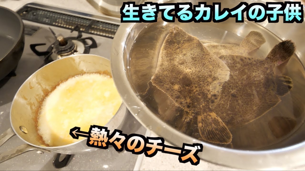 究極の味 生きたカレイの子供 を熱々のチーズの中に入れた結果 Youtube