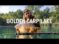 Golden carp lake  fishing in france