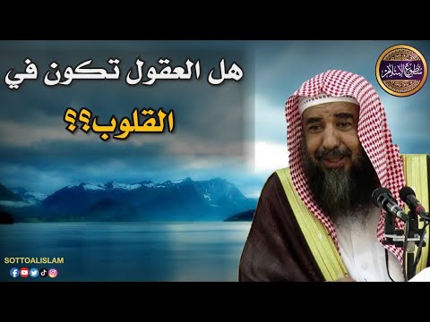 هل العقل يكون في المخ أم في القلب أ د الشيخ سليمان الرحيلي