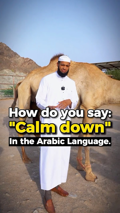How do you say “Calm down” in Arabic? 😤🚫🫣