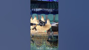 Radiation in fossils at a mineral market.  #radiation #fossil #geology