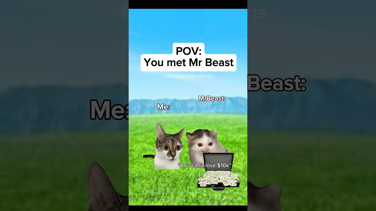 POV вы встретили MrBeast 