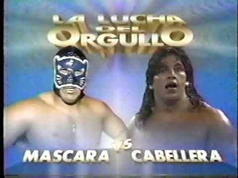 Blue Panther vs. Love Machine - Mask vs. Hair