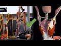 How to do a lat pulldown  common mistake