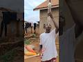 #youtubeshorts #viralshort #videoviral #trending #goviral