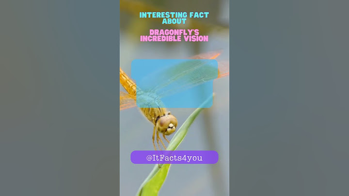 Dragonfly's Incredible Vision #fact #facts #dragonflies #vision #eyestructure #precision