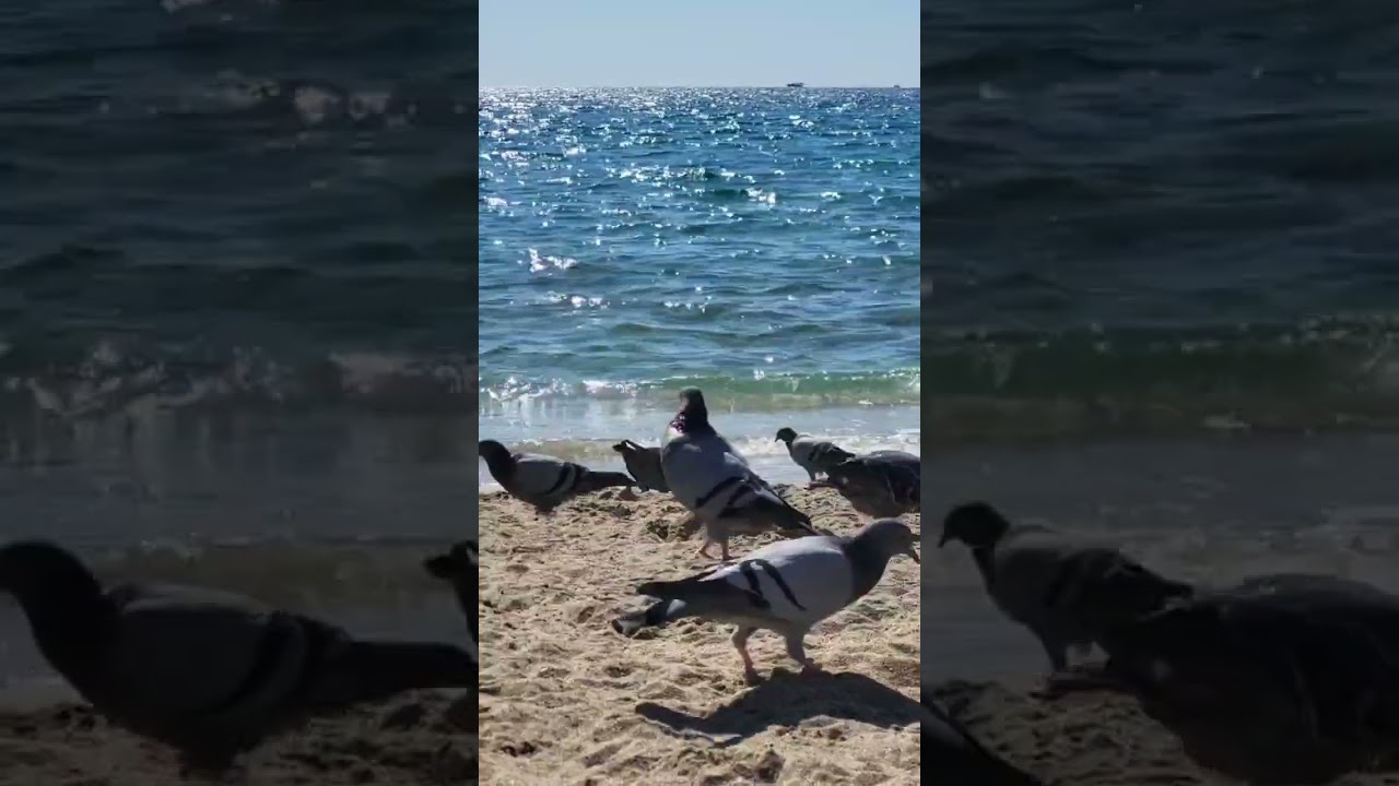 🔆МОРЕ ТУРЦИИ  