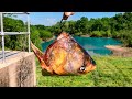 A state record fish is living in this flooded spillway new pb