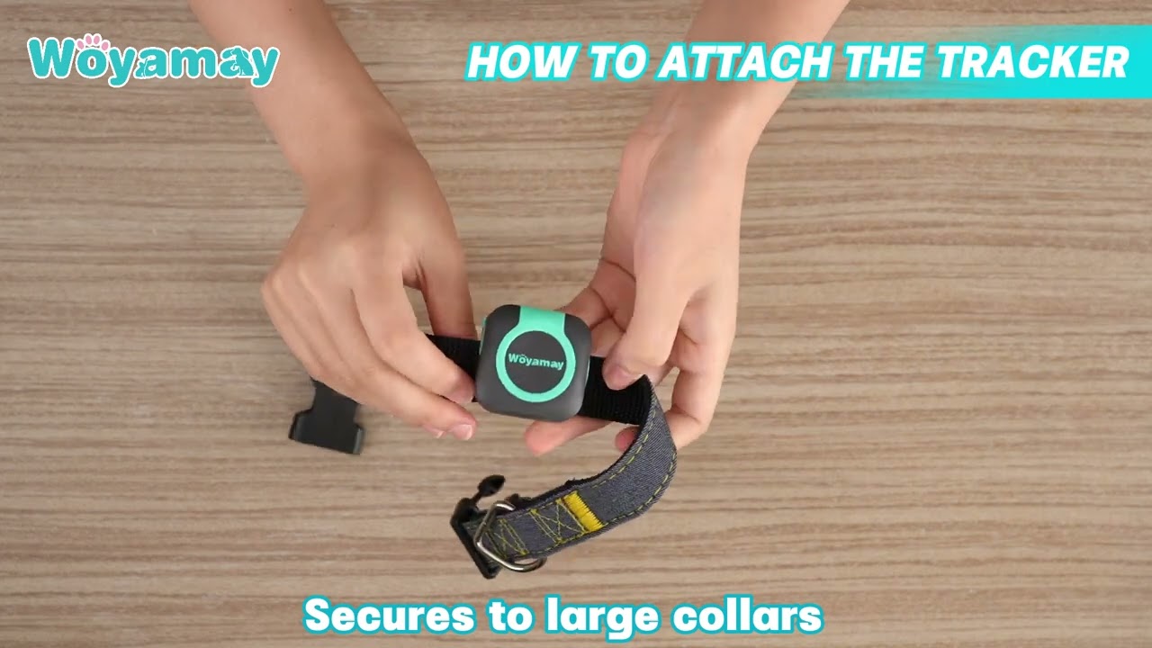 Woyamay GPS Pet Tracker: Perfect Tracker Attachment Guide for Pet Owners