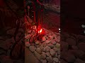 Тихая красота
