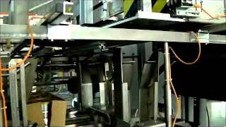 Wrap Around Case Packing Of Cans