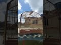 saindo de muda banho de sol