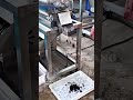 This pitting and pulping machine combines core removal and pulping #FruitProcessing #automation